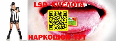 наркотики Заводоуковск