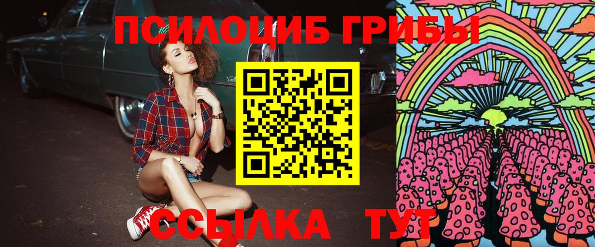 Псилоцибиновые грибы Psilocybine cubensis  Галлюциногенные грибы прущие грибы  магазин  наркотиков  Красноуфимск 