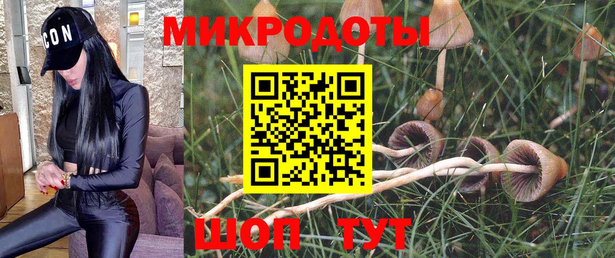 Галлюциногенные грибы Magic Shrooms Красноуфимск