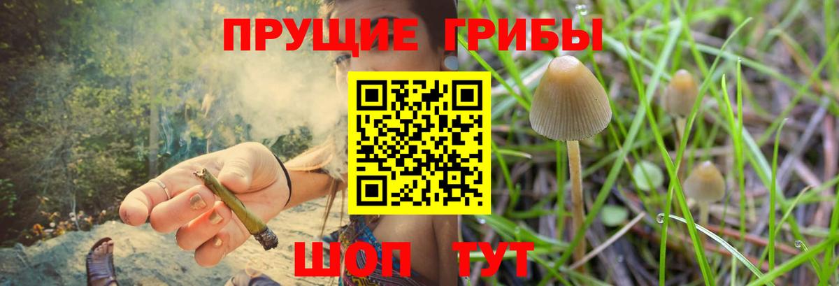 Галлюциногенные грибы Magic Shrooms Красноуфимск